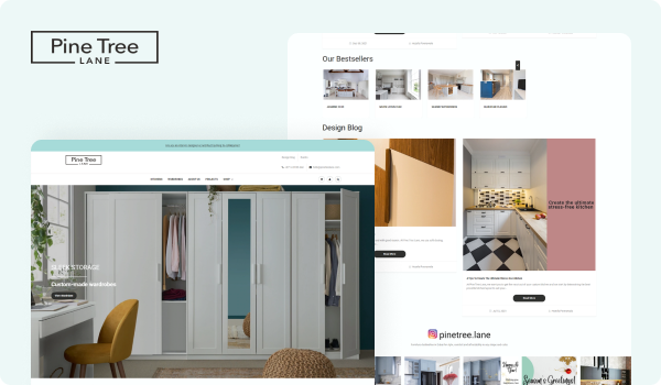shopify development