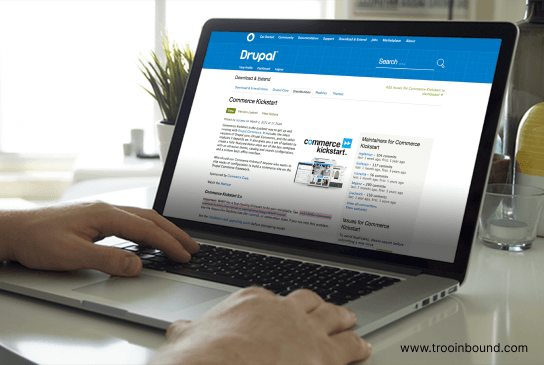 drupal Services